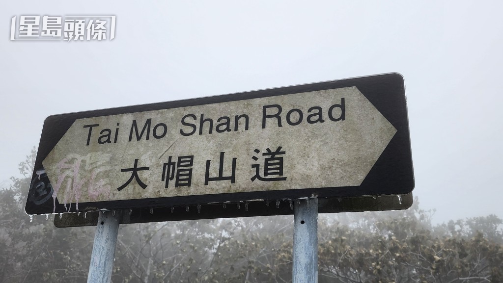 黎志伟摄