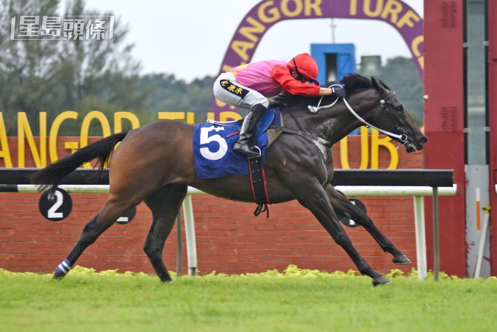 蔡鎮威馬房的「富田威」在尾場贏馬為練者開齋。(圖片：馬來西亞雪蘭莪賽馬會)