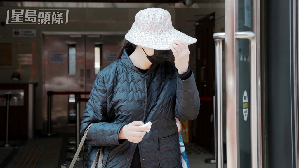 林佩玲申押後案件待索文件獲准。資料圖片 林佩玲申押後案件待索文件獲准。資料圖片