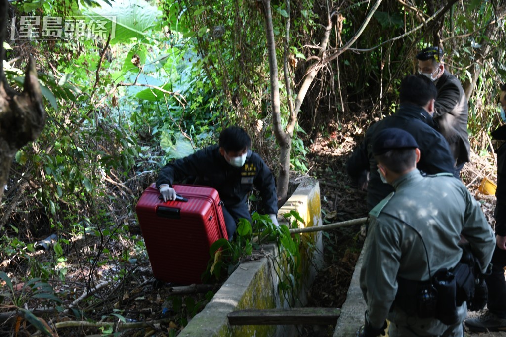 警方在劫案發生後帶疑犯到荃錦公路光板田村山坡搜證。資料圖片