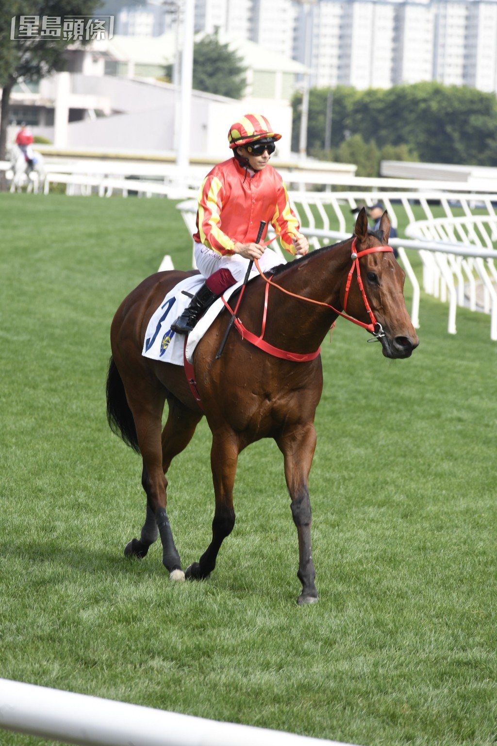 第五场「健康快车」多跑下渐见上力，或有力为这对善心夫妇带来头马喜悦。