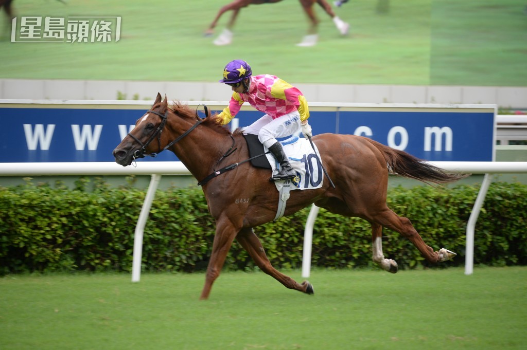 馬主張廣勇名下的「勇晉大師」曾取三場頭馬。