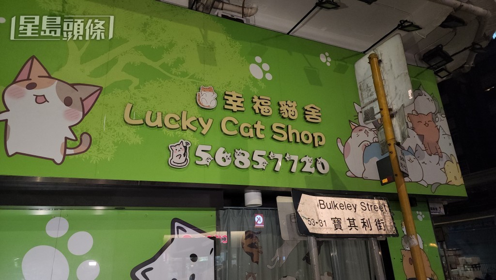 現場是幸福貓舍。