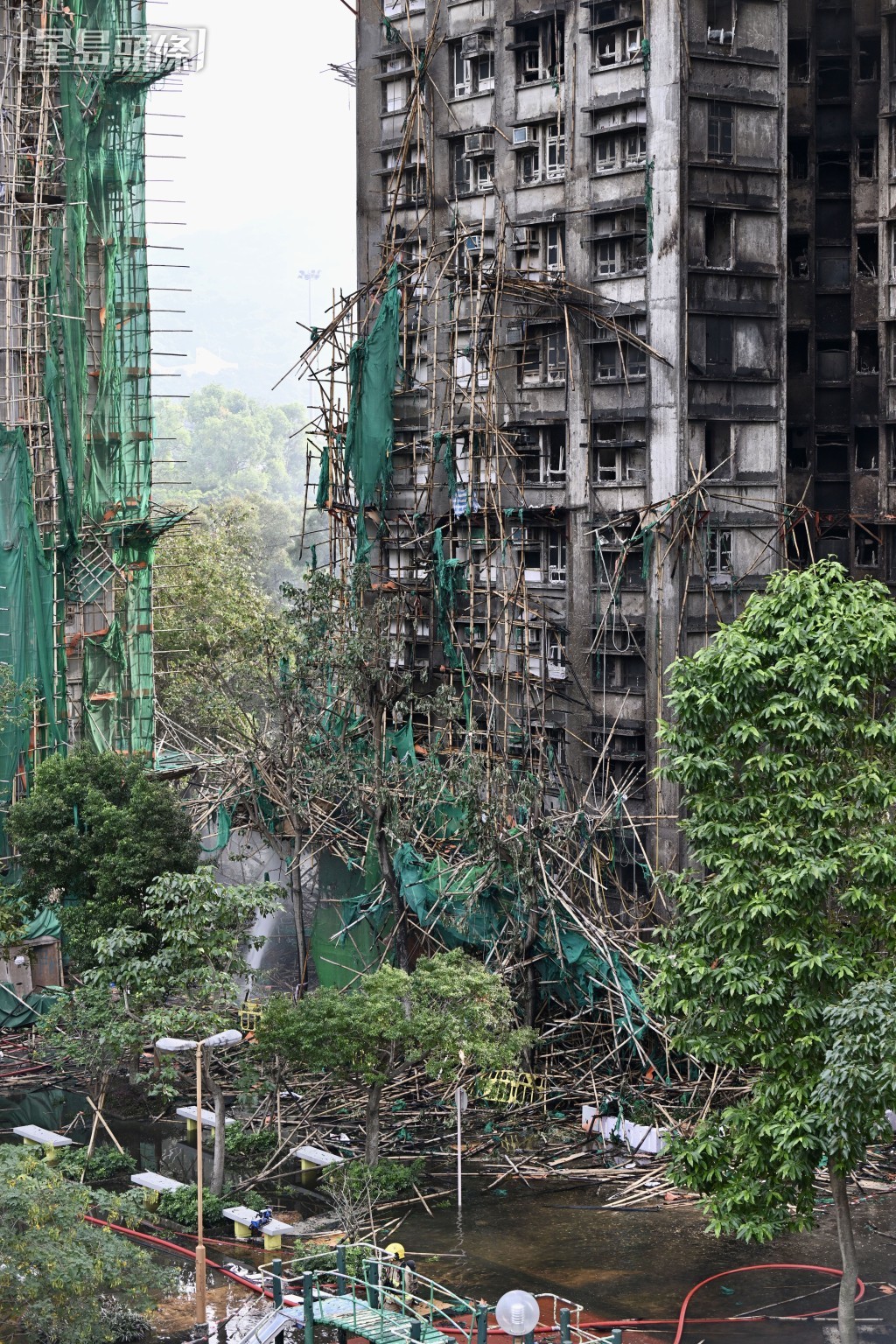 。資料圖片 。資料圖片