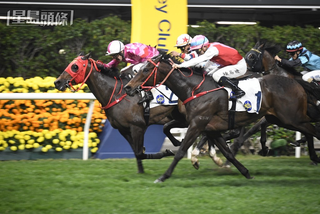 「晋神」(2号)近两仗非冠即亚表现稳定。