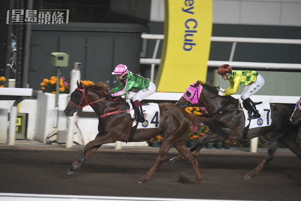 馬主盧楚鏘現役的「魅力寶駒」(圖) 在蔡廄更取得六捷。