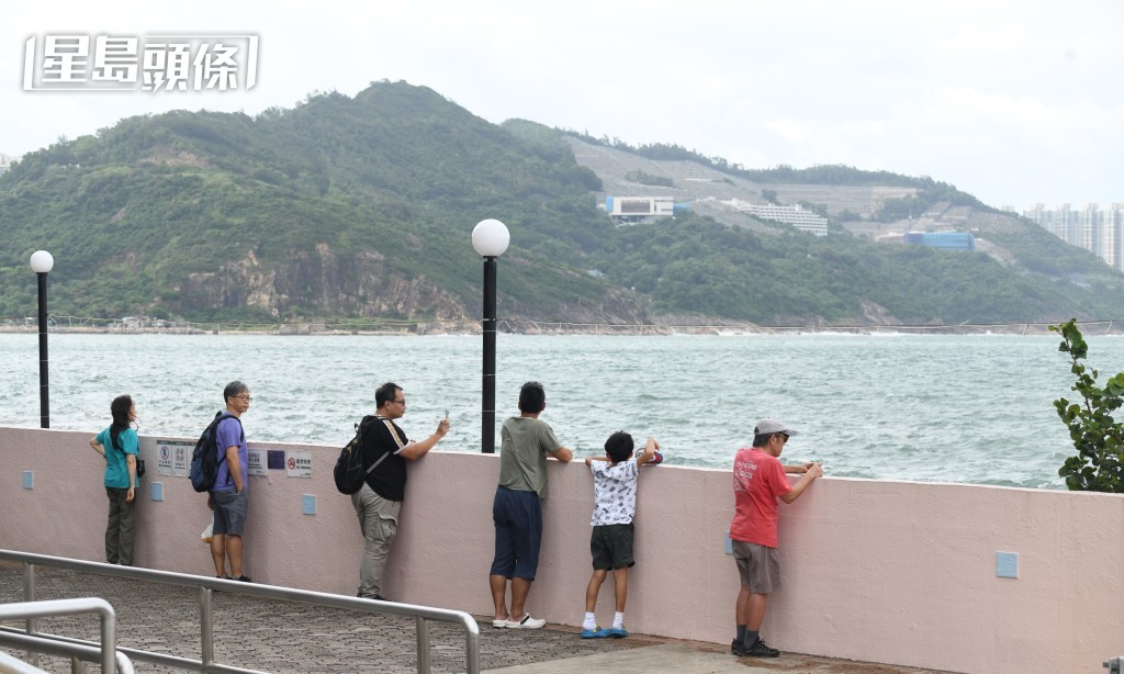 下午杏花邨風力增強，不時有浪拍打岸邊。何君健攝