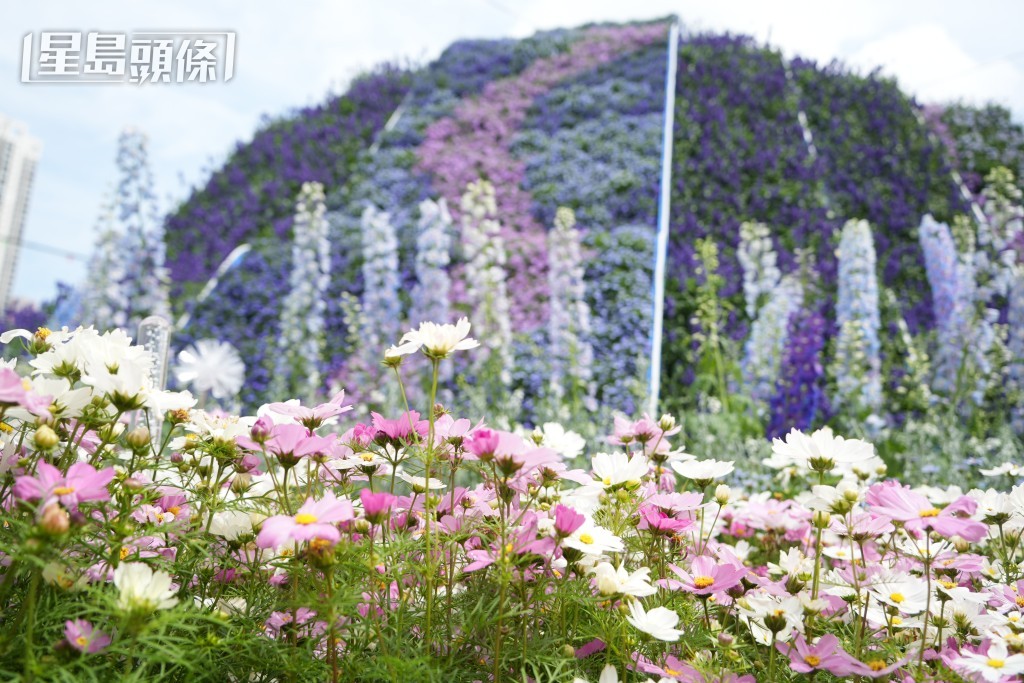 在「浪遊歐洲」內設有法國薰衣草田打卡位。吳艷玲攝