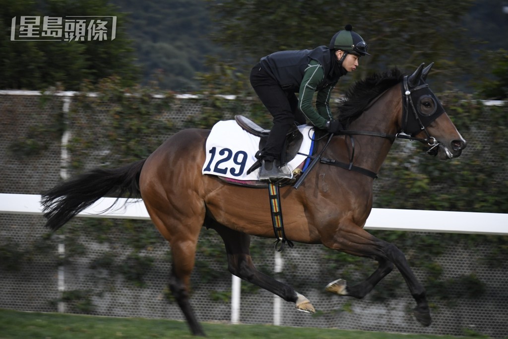 巫顯東支持不多，幸好今次有匹餐士馬「天將龍駒」，難怪東東加倍認真，賽前三番四次出試。