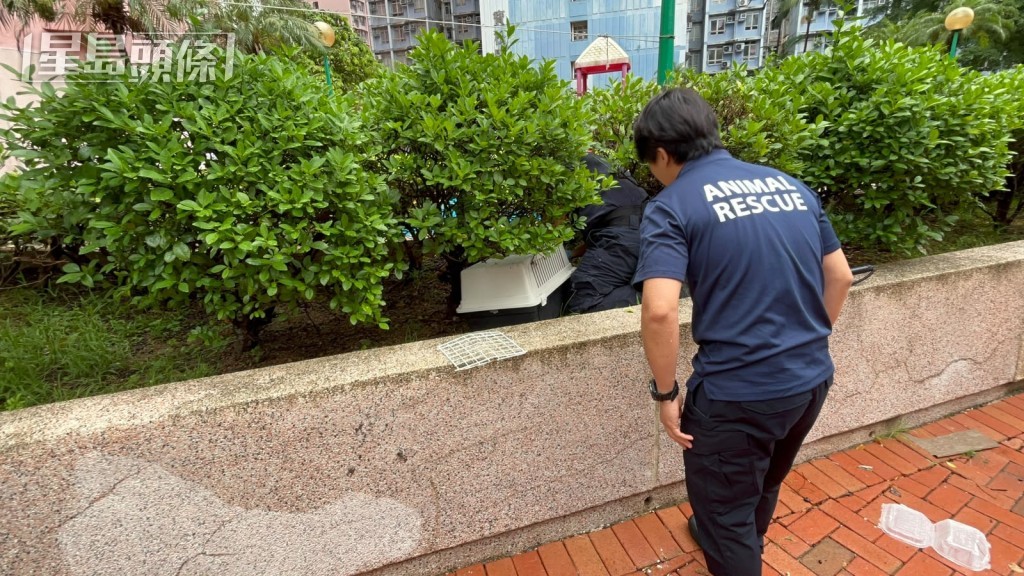 愛協人員將貓屍檢走。 愛協人員將貓屍檢走。