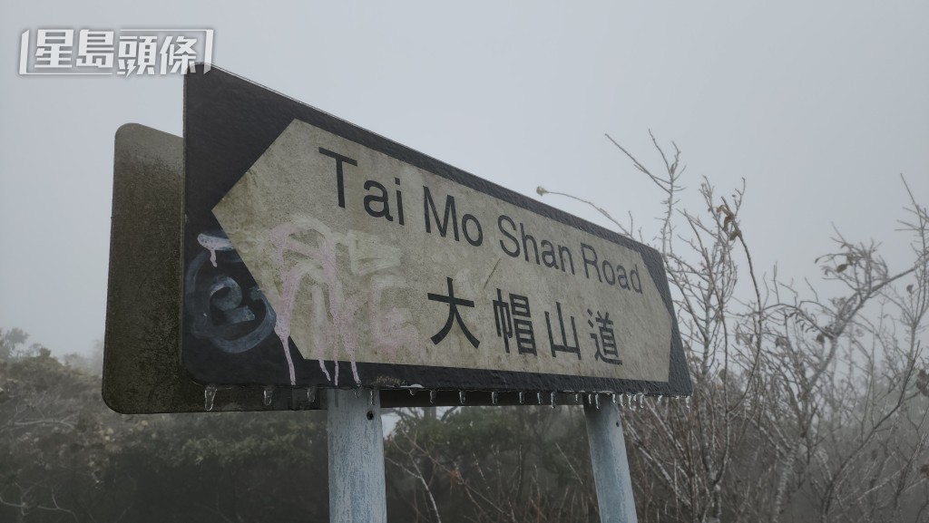黎志伟摄