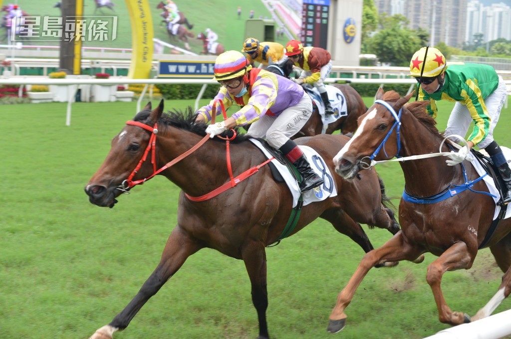 「吉吉利高」在何良馬房時一出即勝。