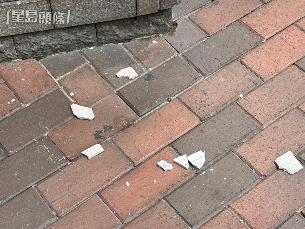 地上遺留細塊碎片。楊偉亨攝 地上遺留細塊碎片。楊偉亨攝