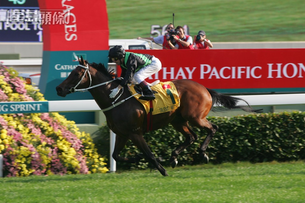 「精英大師」是本港馬壇的翹楚。