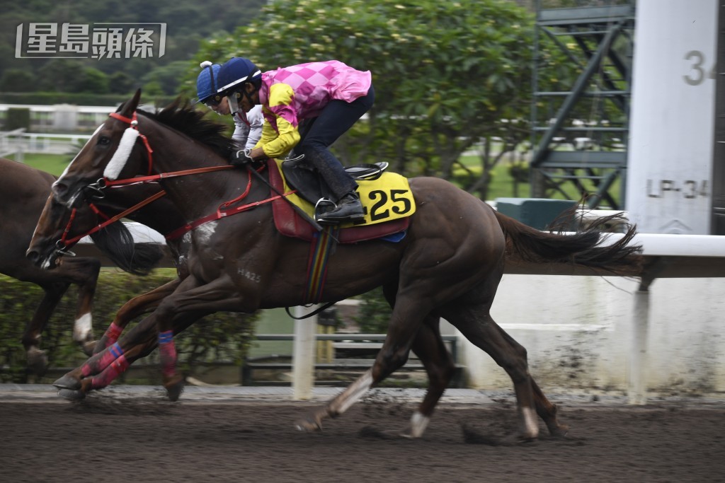 獨家猛料│張廣勇冀「勇晉當銳」補中