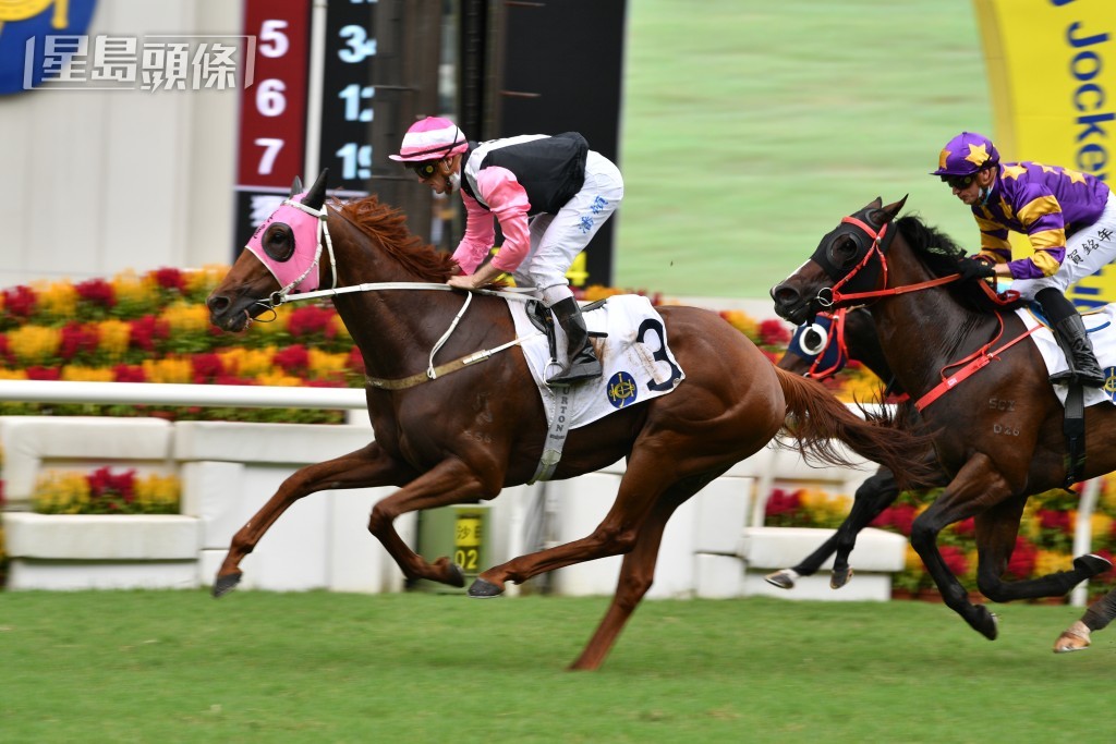 告東尼認為紀仁安是「美麗同享」爭標的合適人選。