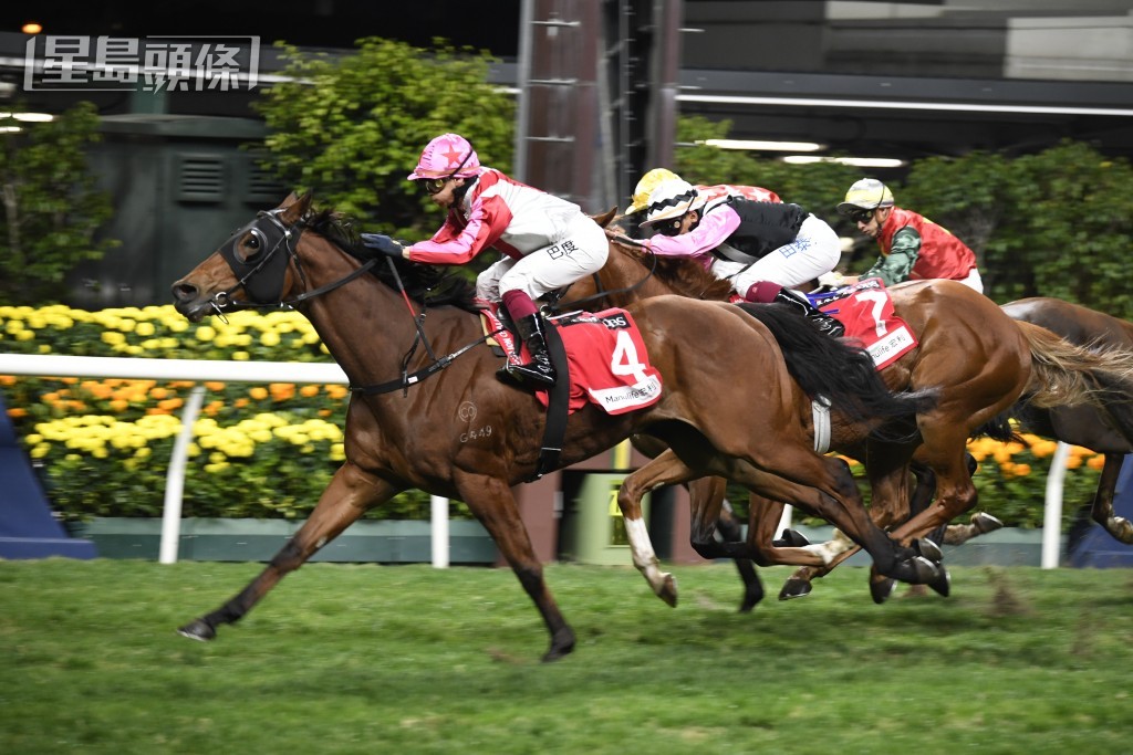 「一代天嬌」重配贏馬功臣巴度操刀，或可收復前失。