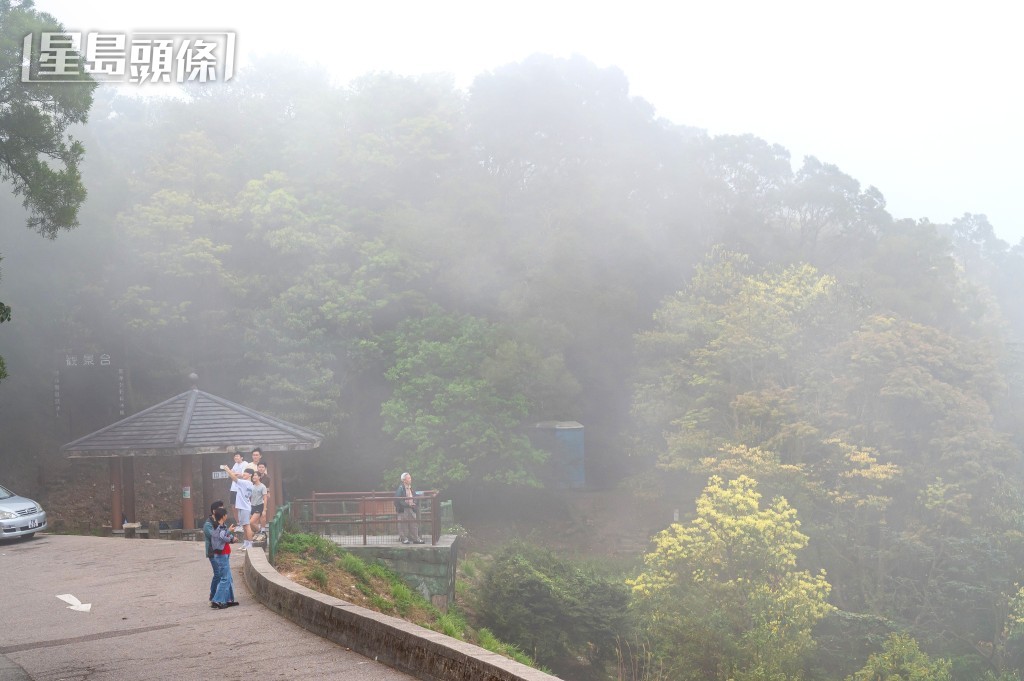 飛鵝山上朦朧一片景象。鍾健華攝