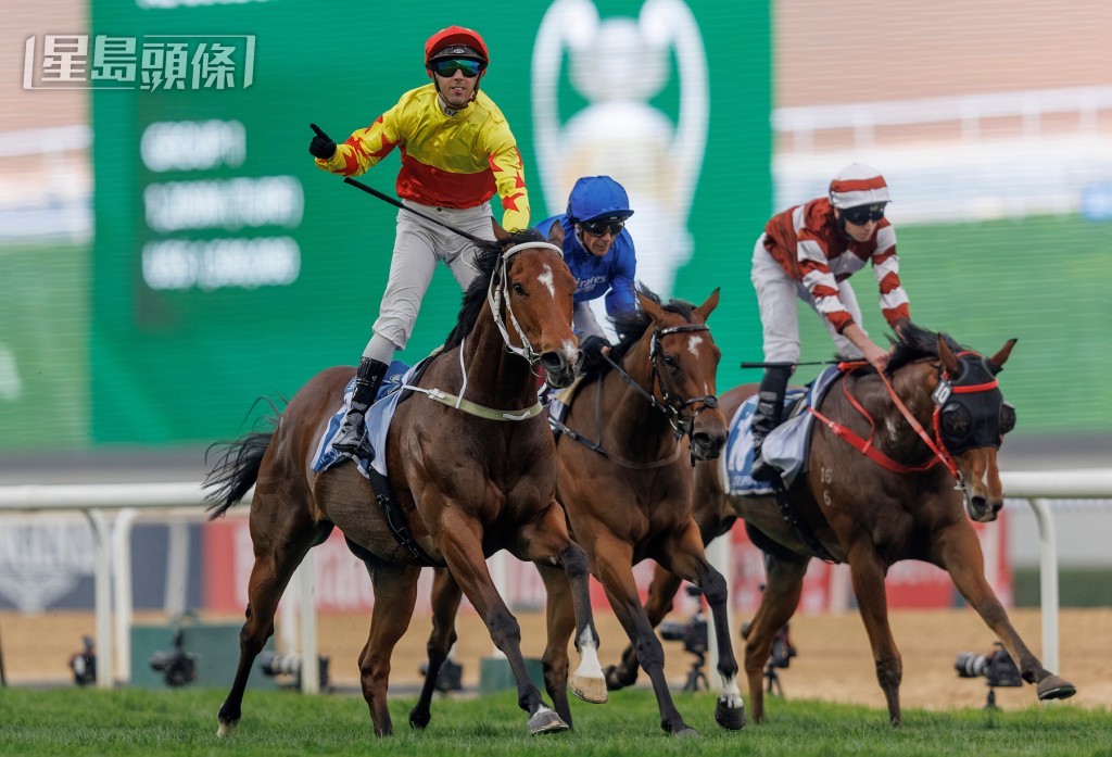 「加州星球」早前勝出杜拜阿喬斯短途錦標。 「加州星球」早前勝出杜拜阿喬斯短途錦標。