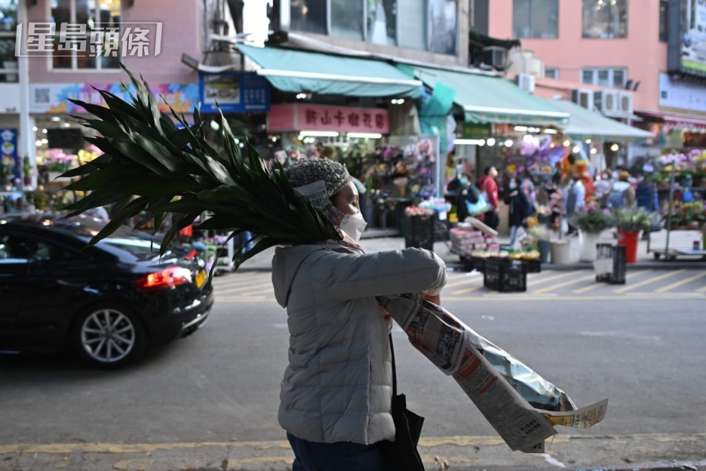 不少人愛到花墟選購年花。資料圖片 不少人愛到花墟選購年花。資料圖片