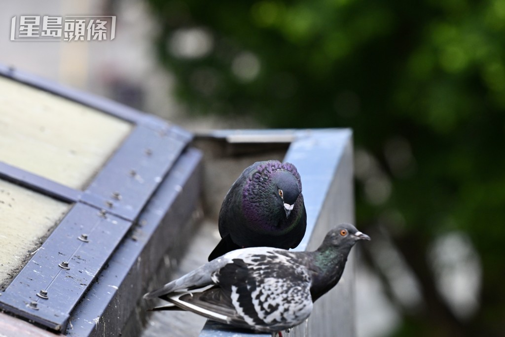 。資料圖片