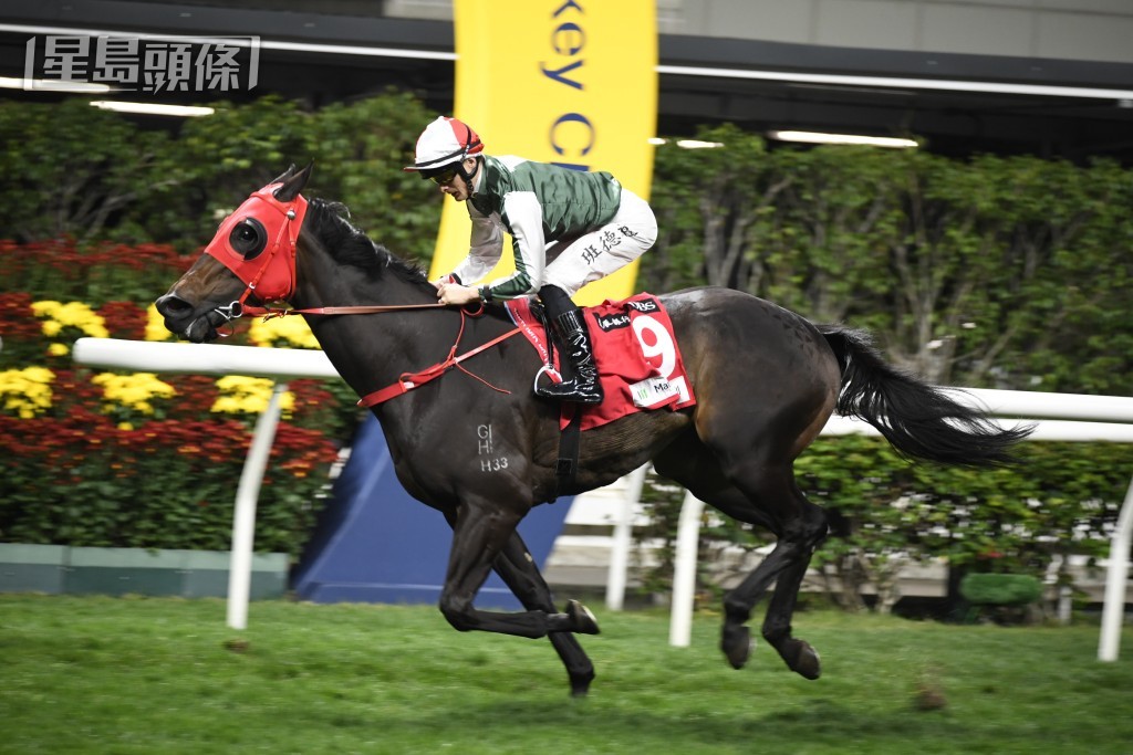 「十八掌」周三晚出爭曾兩捷的谷草一哩，馬兒試準狀態，或有力建功。