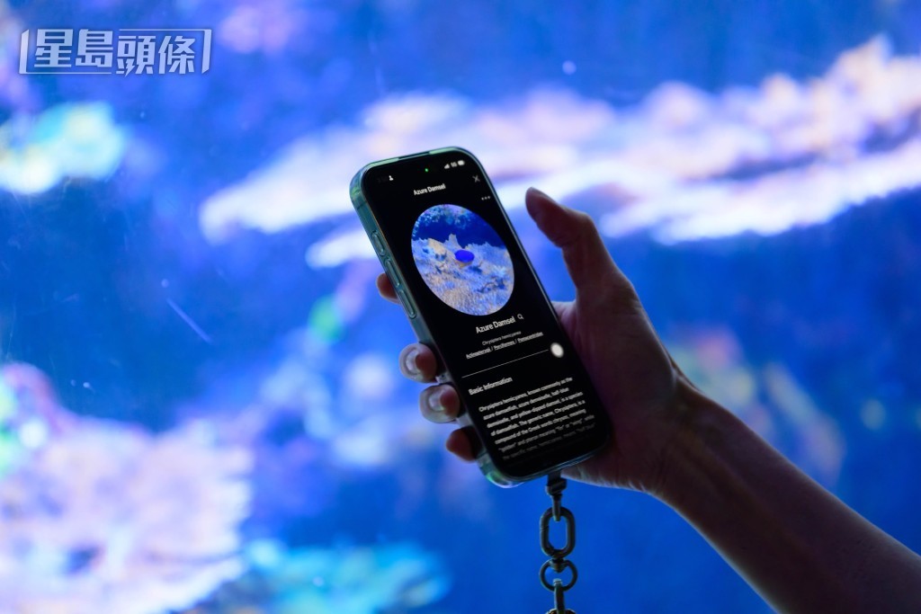 課程分為兩部分:首部分利用AI分析香港珊瑚特徵與健康狀況,次部分則結合AI與太陽能技術進行環境監測與減碳,旨在將STEAM教學融入環境保育。 課程分為兩部分:首部分利用AI分析香港珊瑚特徵與健康狀況,次部分則結合AI與太陽能技術進行環境監測與減碳,旨在將STEAM教學融入環境保育。