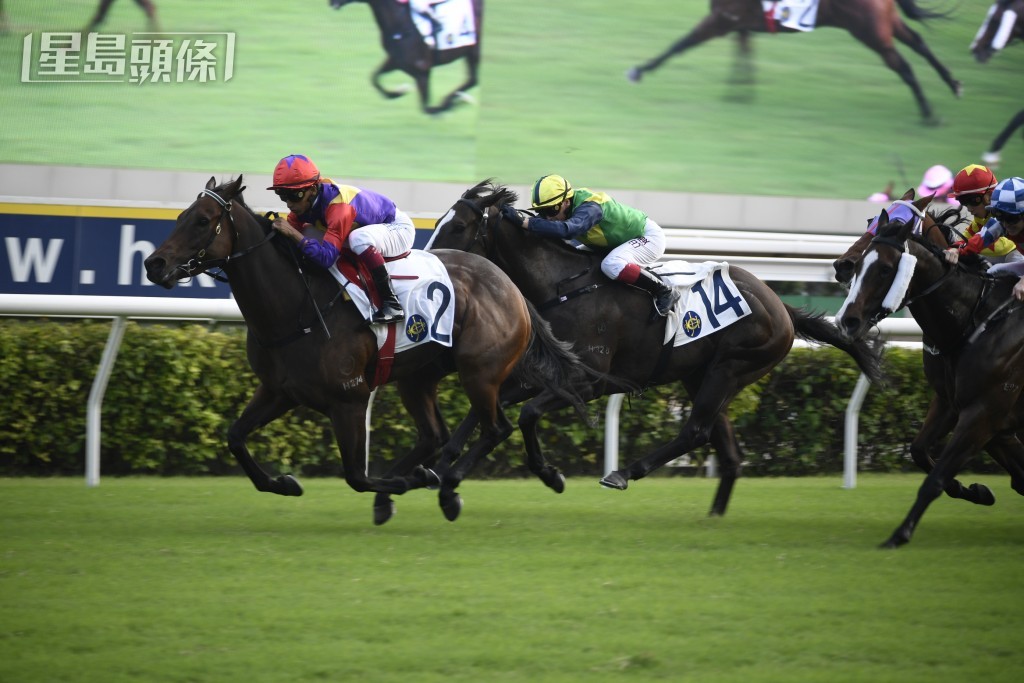 第七場「幸運遇見」今季三戰兩冠，是梁氏一家人的頭馬希望。