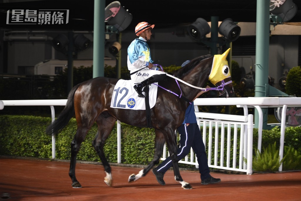 蔣嘉琦的團體馬「綠登」於周日沙田賽事角逐第四場賽事。