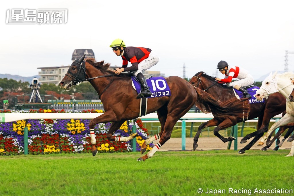 由中內田充正訓練的「秀逸小島」屬本年度一級賽浪琴香港一哩錦標其一爭勝要角。 由中內田充正訓練的「秀逸小島」屬本年度一級賽浪琴香港一哩錦標其一爭勝要角。
