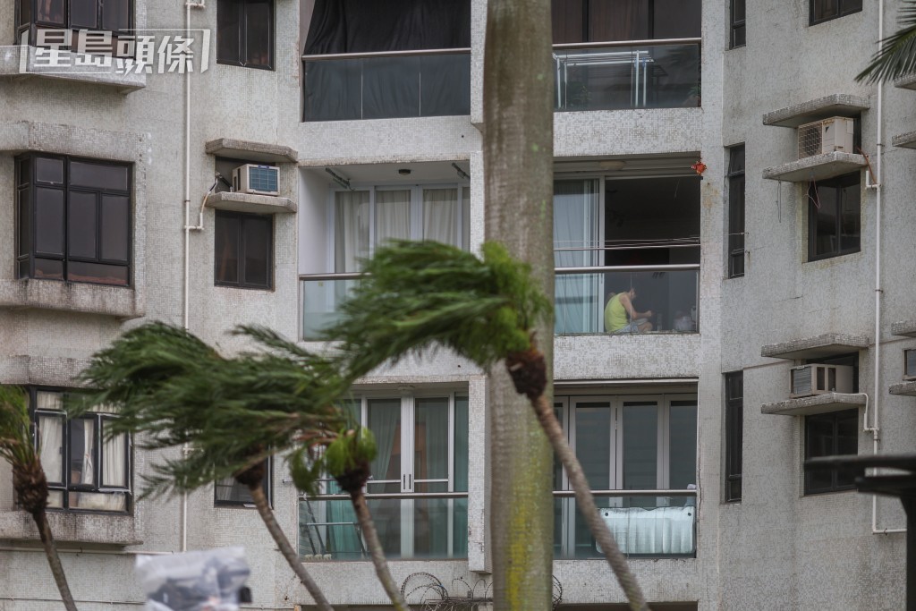 杏花村橫風橫雨。何家豪攝