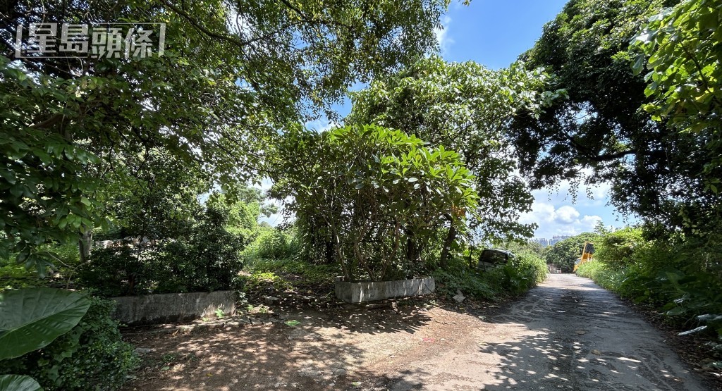 擺放香煙的草叢處,距離死者的貨櫃屋約約40公尺。 擺放香煙的草叢處,距離死者的貨櫃屋約約40公尺。