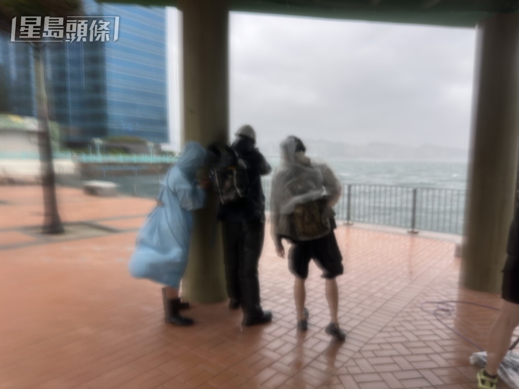 紅磡碼頭有市民「追風」。