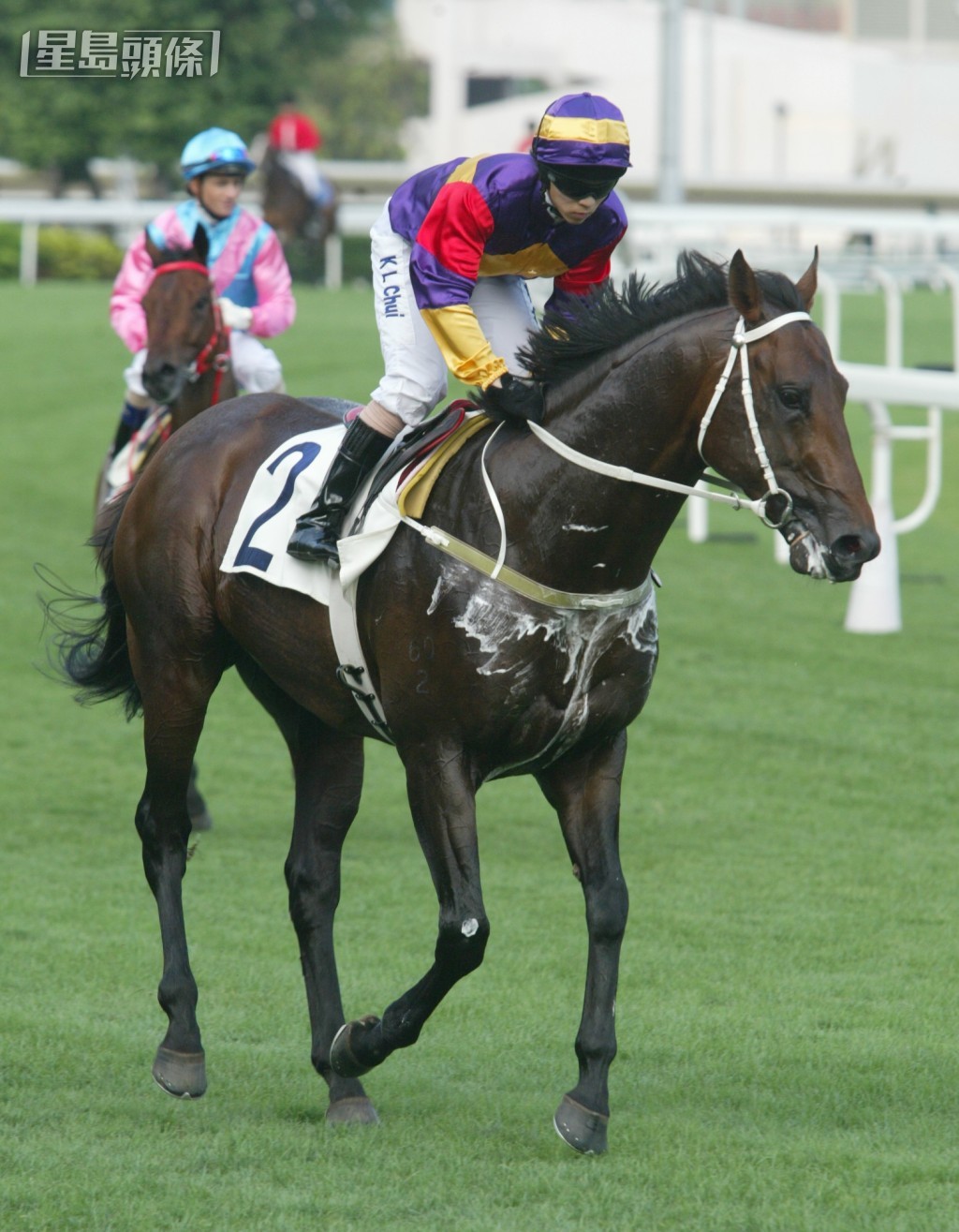 「幸運福星」的同主馬「幸運戰駒」(圖) 曾在港贏出五場頭馬。