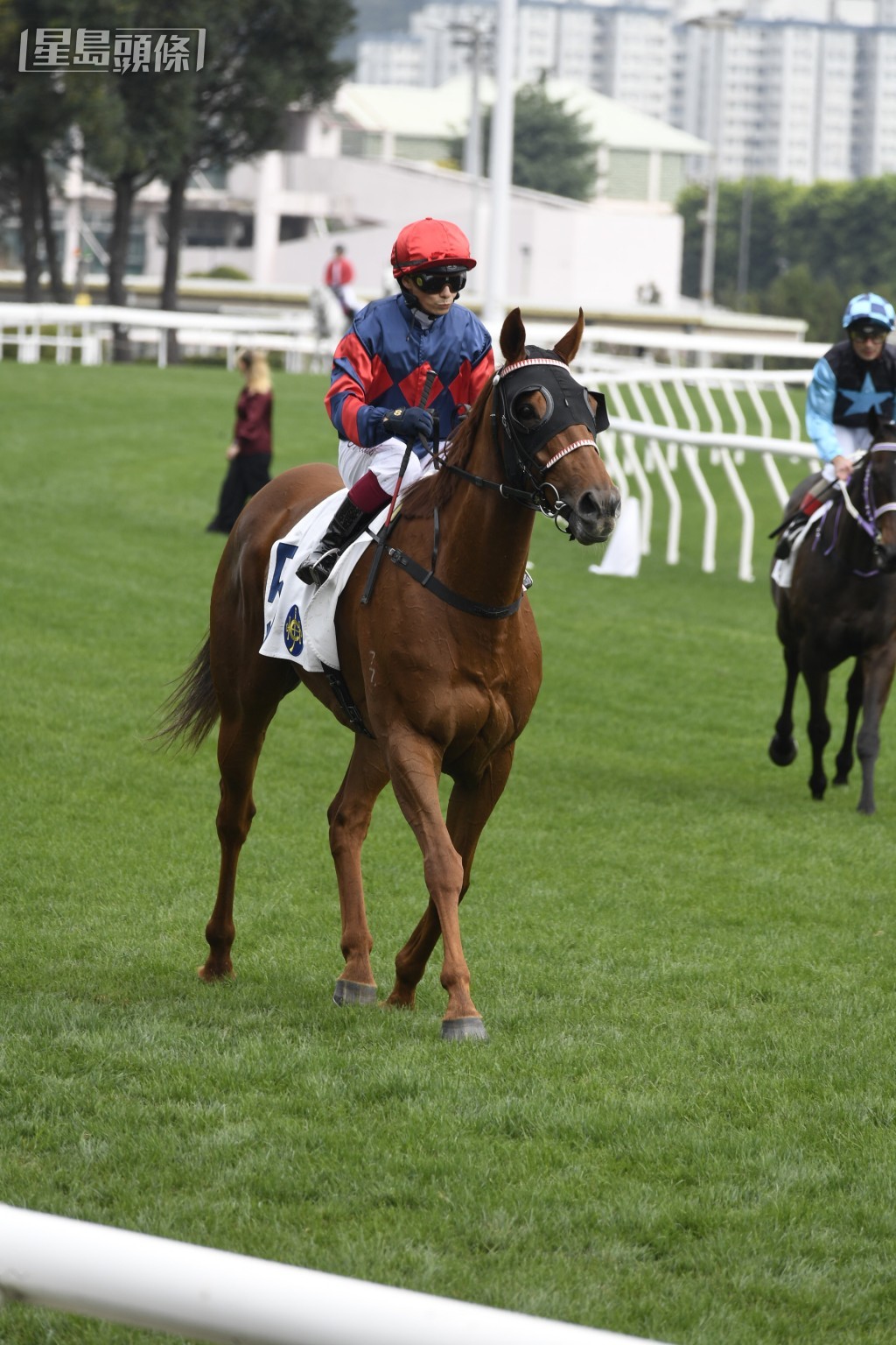 其中「骏马快车」累积两胜六位，奖金更超过七百万。