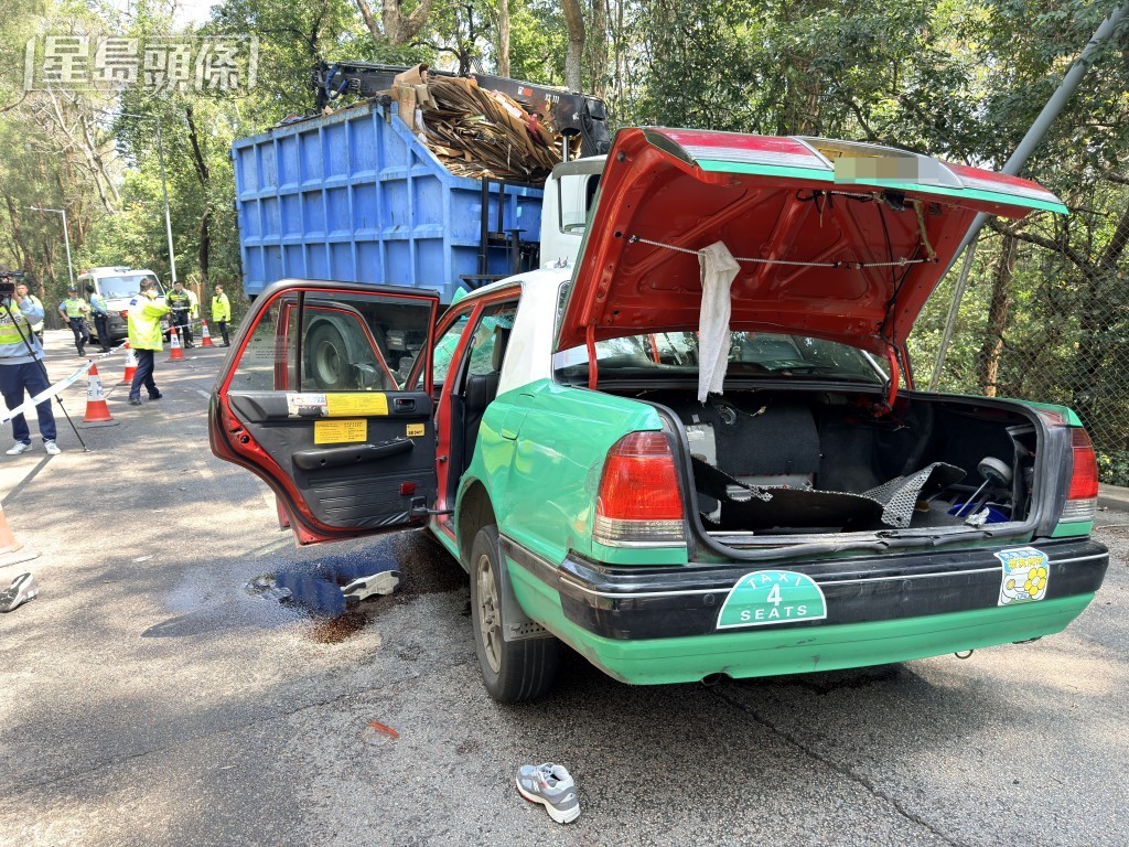 的士司機及乘客雙雙不治。