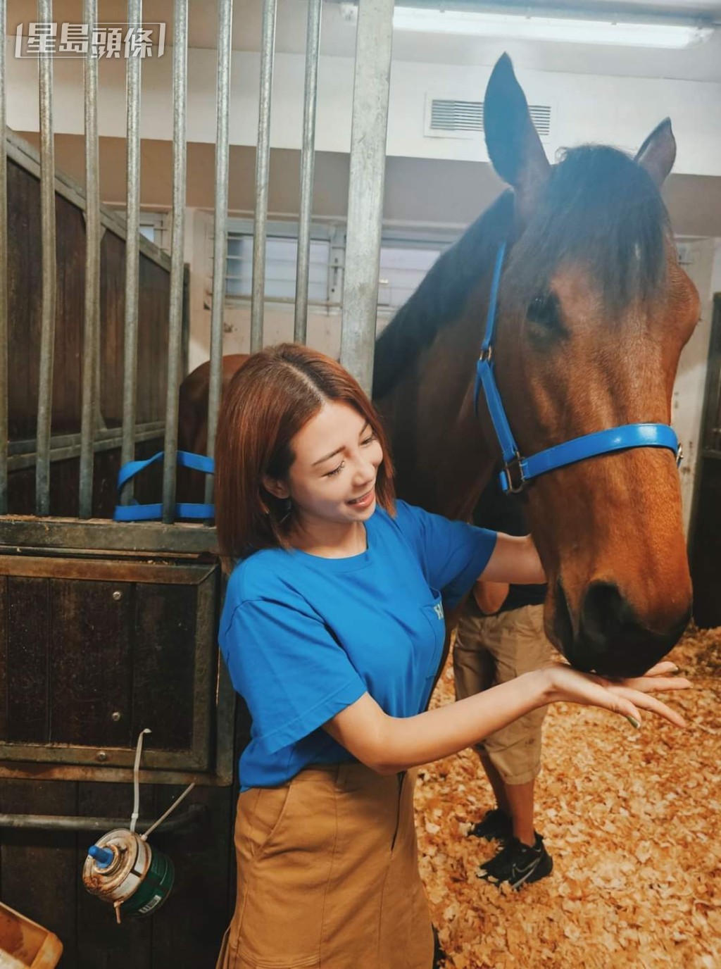 黃婉曼早前邀請馬迷一齊為愛駒命名，最後決定取名「觀眾之力」(圖)。