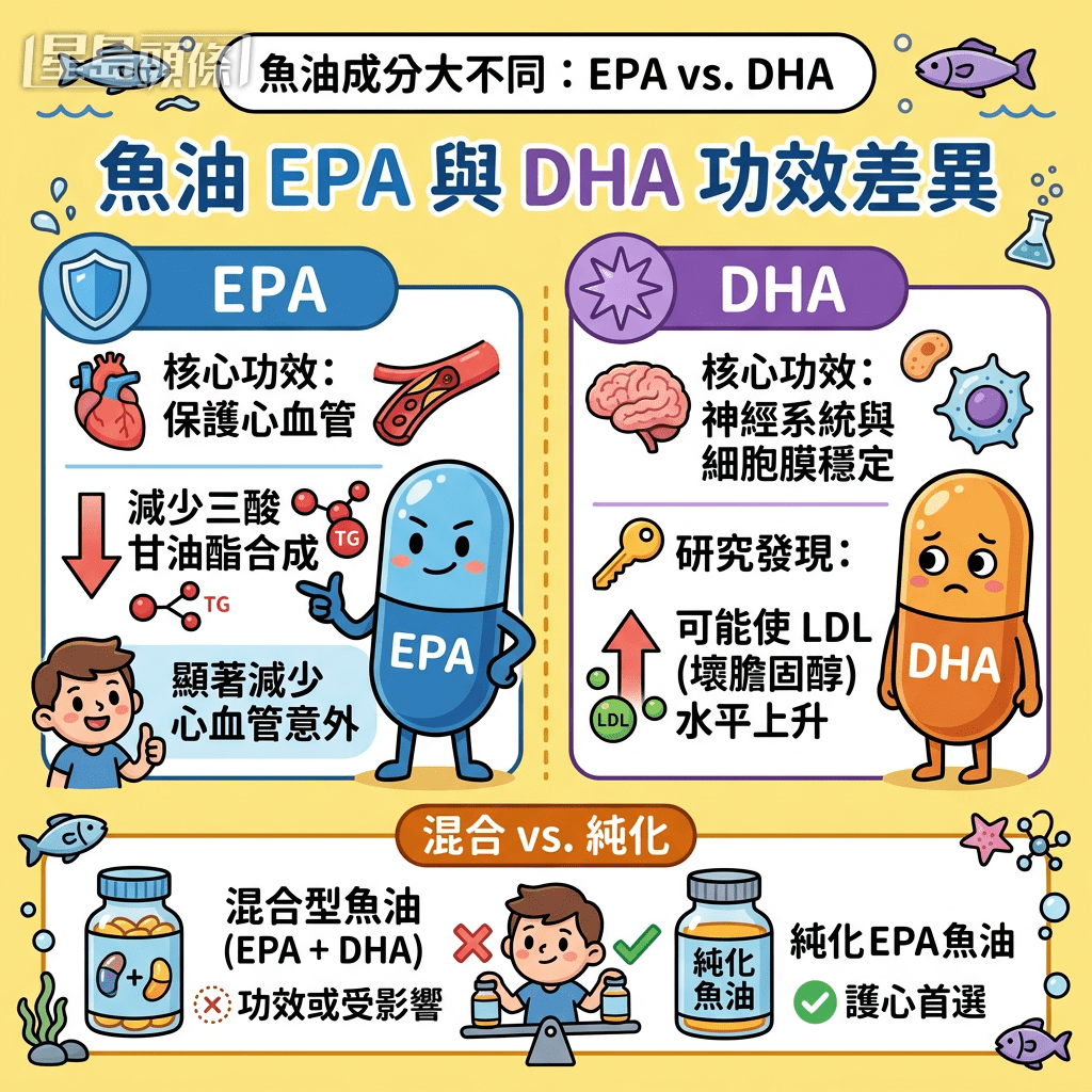 魚油中的兩大成分EPA與DHA功效各異,這亦是影響心血管保健效果的關鍵 魚油中的兩大成分EPA與DHA功效各異,這亦是影響心血管保健效果的關鍵