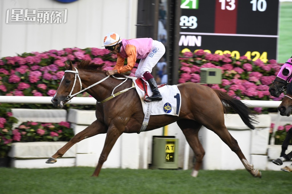 上周日沙田打吡賽馬日，「桃花雲」勝出田草千八米。