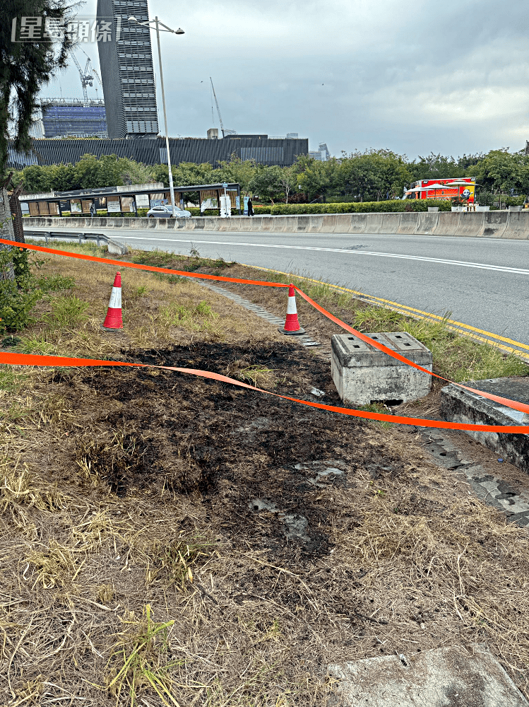 西九文化区某草丛曾起火。