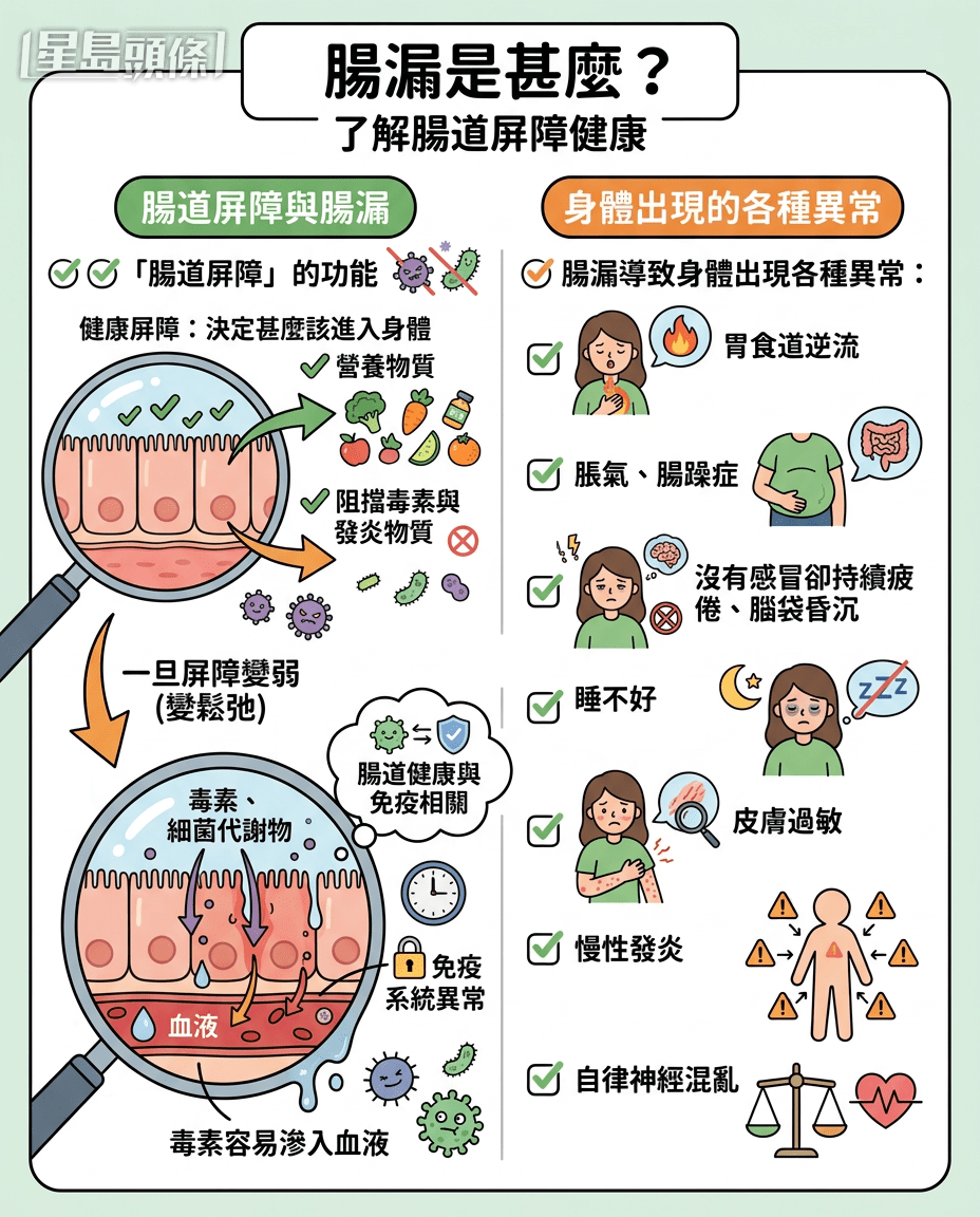 腸漏是甚麼？可能是慢性疲勞的隱形元凶