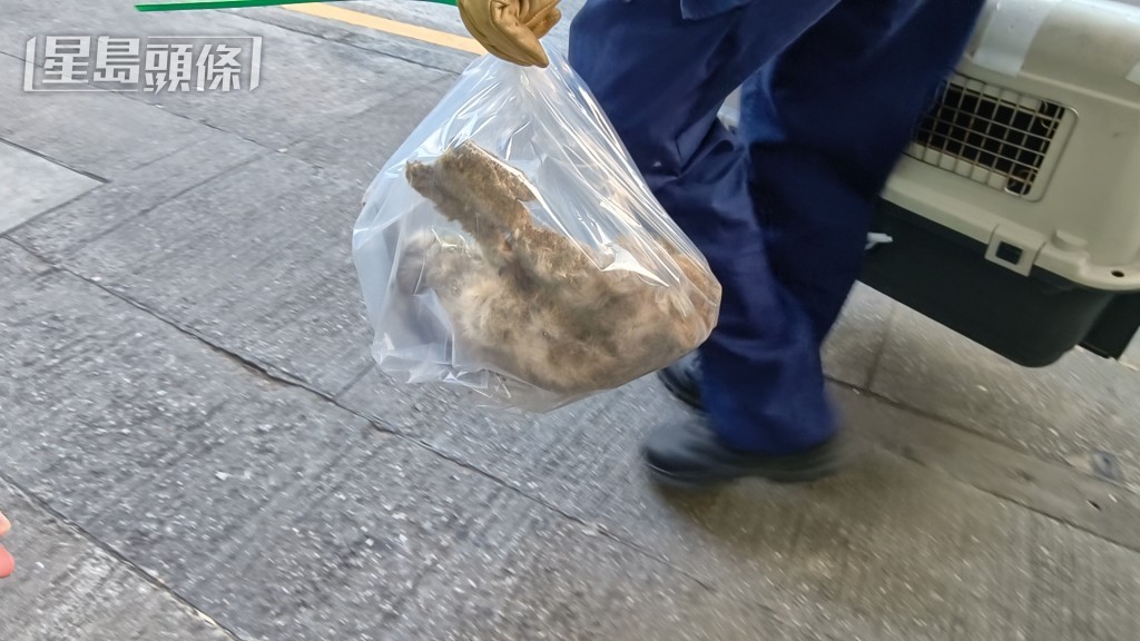 爱协人员在单位带走证物。黄文威摄 爱协人员在单位带走证物。黄文威摄