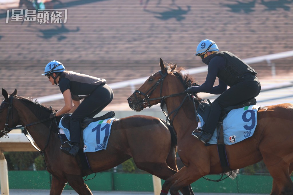 岳伯仁馬房旗下，將競逐香港盃的三歲雌馬「滿足」( 9號 )，今(2/12)早出操時，需要配戴「網罩」(英文名為Net Muzzle)出試。