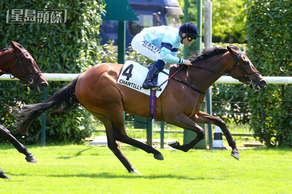 「堅信」年初才踏入四歲,包紀耀相信此駒今季在大賽中仍大有可為,並放眼於皇家雅士谷賽期及育馬者盃。 「堅信」年初才踏入四歲,包紀耀相信此駒今季在大賽中仍大有可為,並放眼於皇家雅士谷賽期及育馬者盃。