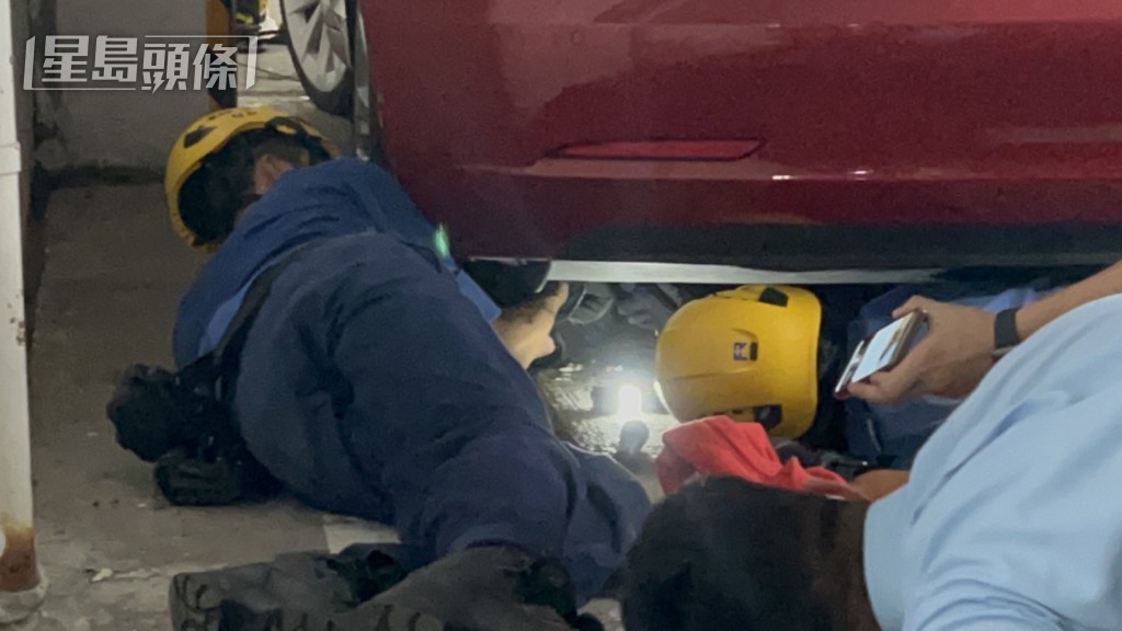 消防用電筒照射車底救貓。楊偉亨攝 消防用電筒照射車底救貓。楊偉亨攝