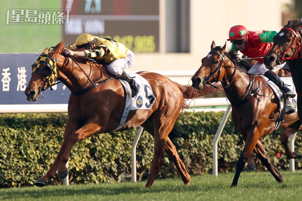 「威力奔騰」迄今在港已取得六勝。 「威力奔騰」迄今在港已取得六勝。