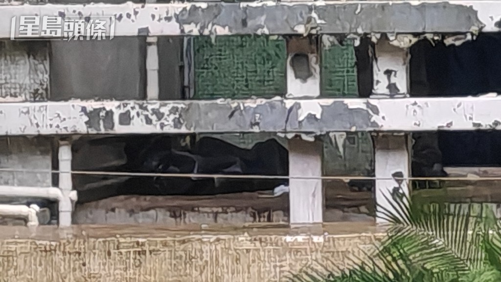 女子墮樓當場死亡。蔡楚輝攝 女子墮樓當場死亡。蔡楚輝攝