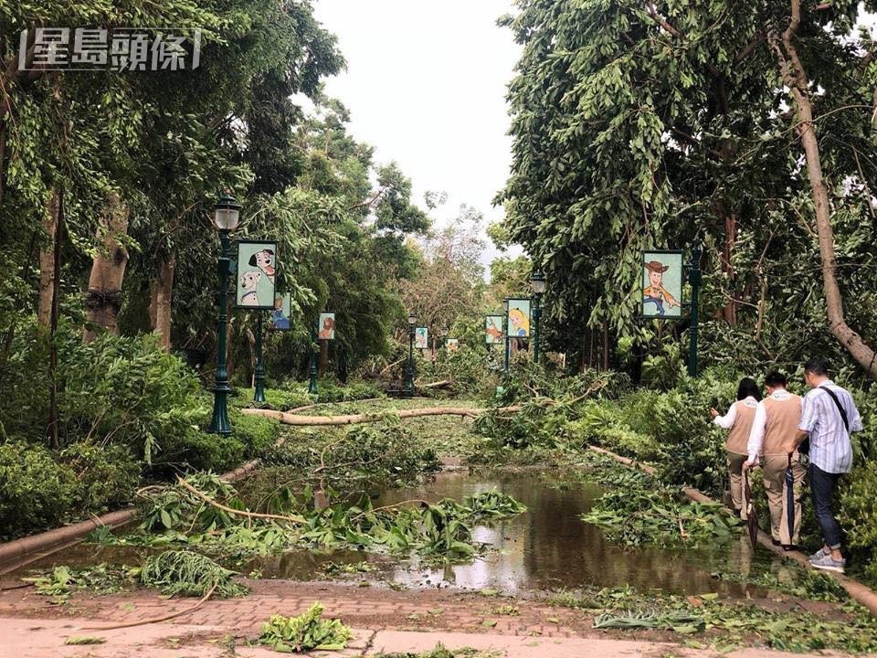 颱風「山竹」吹襲後的香港迪士尼樂園。資料圖片 颱風「山竹」吹襲後的香港迪士尼樂園。資料圖片