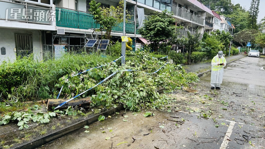 現場是大圍新村。