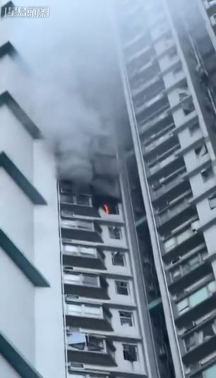 起火單位火光熊熊。讀者提供影片截圖